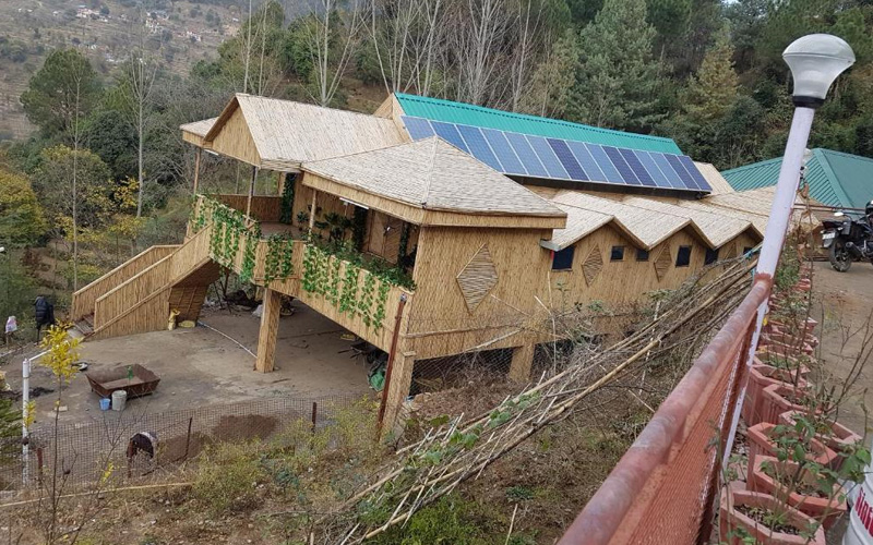 Bamboo Hut